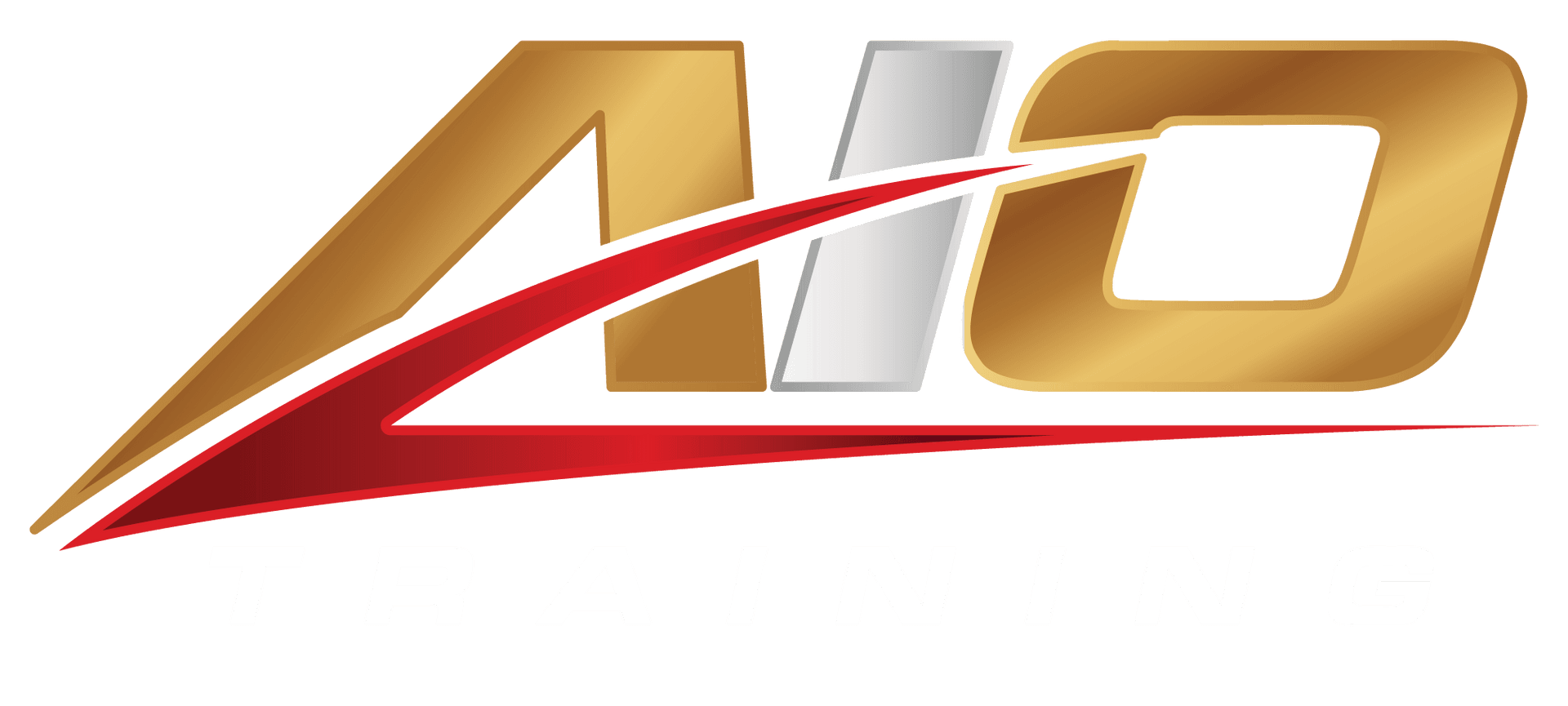 All In One Training logo